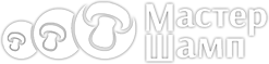 logo Masterchamp
