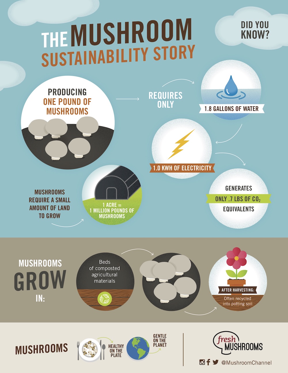 글로벌 뉴스 The Mushroom Sustainability Story 인포 그래픽