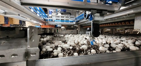 system for full scale automation