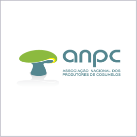 ANPC-Finale