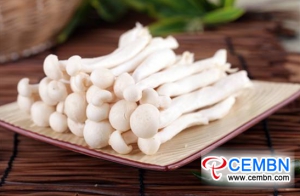 Yunnan Guanshang Market: Analysis of Mushroom Price