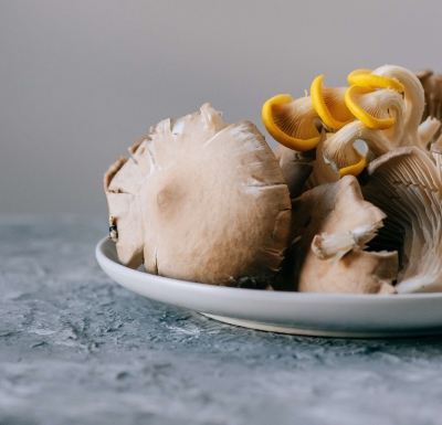 Meat the Mushroom aide les consommateurs à adopter un régime à base de plantes