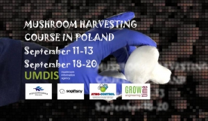 Are mediocre yields and harvests not satisfying you? This mushroom harvesting course is for you