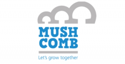 A-Pit transfers activities to Mush Comb