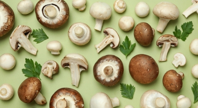 Mushroom Tips & Tricks