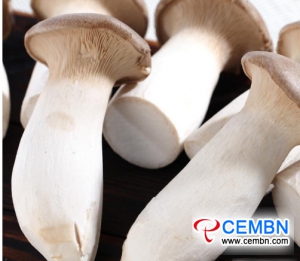 Markt in Guangdong Haijixing: analyse van de prijs van paddenstoelen