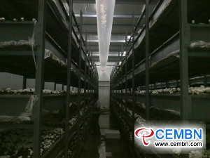 滦平县推动了蘑菇产业的深入发展