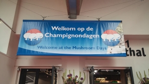 オランダの "The Mushroomdays"は、22-23-24 May 2019で開催されます。