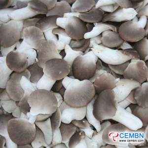 Ринок Аньхой Чжоугудуй: аналіз ціни на гриби