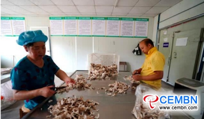 Ušesne gobe, proizvedene v tem podjetju, so po maloprodajni ceni 24 CNY za kg