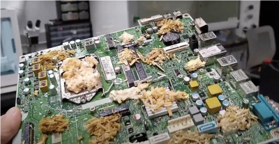 과학자들은 버섯으로 만든 '살아있는 PC'를 개발했습니다.