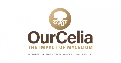Ecovative announces sale of Dutch subsidiary to Klerken family, founders of Scelta Mushrooms, launching new venture OurCelia
