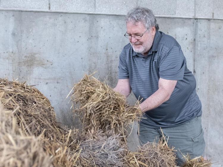 David M. Beyer  Professor of Mushrooms Penn State University