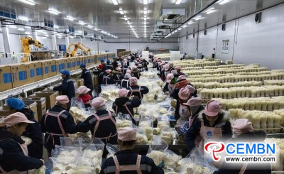 Король Enoki по производству грибов на юго-западе Китая имеет хорошие результаты и продажи