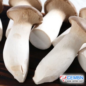 Mercato di Shaanxi Xinqiao: analisi del prezzo dei funghi