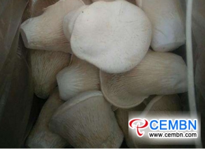 Anhui Zhougudui Markt: Analyse des Pilzpreises