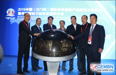 2019 China (Sanmenxia) International Mushroom New Products and Technology Expo je bil odprt