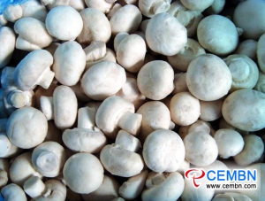 Pekinško tržište Xinfadi: Analiza cijene gljiva
