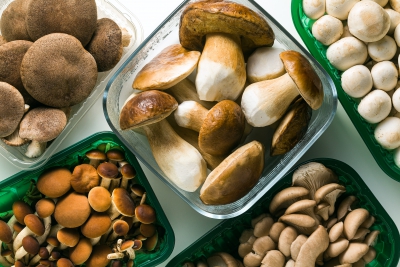 What&rsquo;s moving the mushroom industry right now?