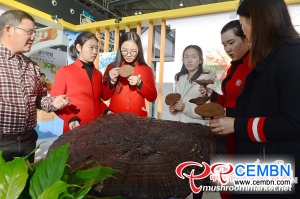 Ganodermaキングは湖南農業博覧会で展示された