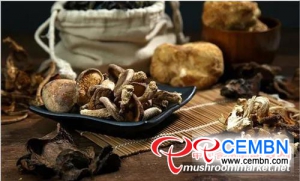 中国的蘑菇产量有望实现可持续增长
