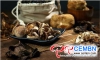 China’s Mushroom Output Capacity Is Hopeful To Get A Sustainable Growth