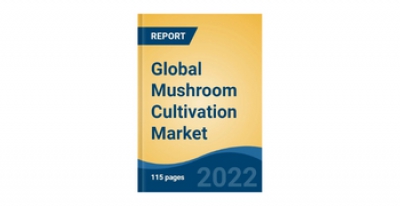 글로벌 버섯 재배 시장 보고서 2022: 소비자 식단에서 완전채식 및 천연 식품에 대한 수요 급증으로 기회 제공