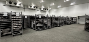 Company visit | Ecovative’s spawn facility in Venlo: Innovation in full swing