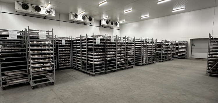 Company visit | Ecovative’s spawn facility in Venlo: Innovation in full swing