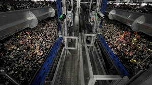 GTL Precision Picking The Synergy Between Spotlight and Automation