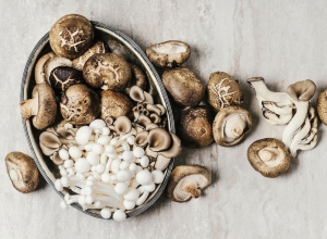Benefici per la salute dei funghi sorprendenti 6 per la pelle, il cervello e le ossa