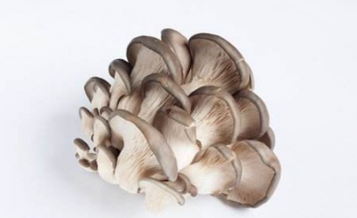 산서 Hexi 시장 : 버섯 가격의 분석