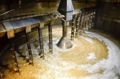 Turning bourbon distillery waste into mycelium materials: A scalable approach from Kentucky