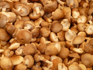 Green innovation in shiitake mushroom farming