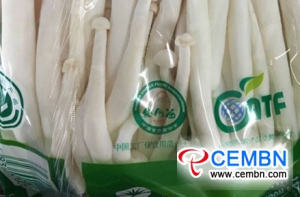 Gansu Province of China: Marktanalyse van champignonprijs