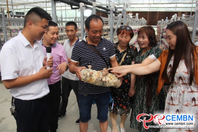 La Yuguo Mushroom Company vince buoni scambi esteri attraverso l'esportazione
