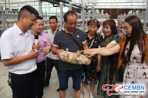 Yuguo Mushroom Company gana intercambios extranjeros satisfactorios a través de la exportación