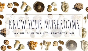 The Ultimate Guide to Mushrooms