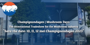 Дни голландских грибов 2023