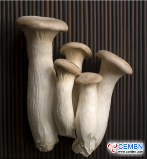 Zhejiang Hangzhou-markt: analyse van de champignonprijs