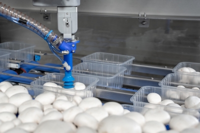 GTL takes mushroom packing automation to the next level