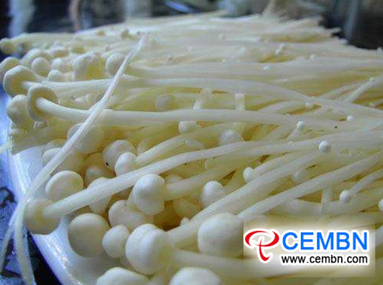 يونان Guanshang السوق: تحليل سعر الفطر