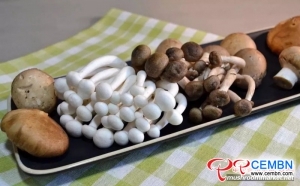 中国的蘑菇产量占全球的70％以上