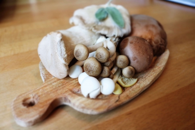 Mushroom varieties offer different health benefits