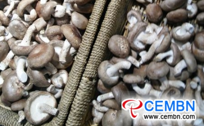안후이 푸양 농산물 물류 센터 : 버섯 가격 분석