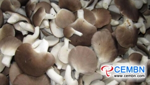 Industrija gljiva doživljava kvalitativni skok