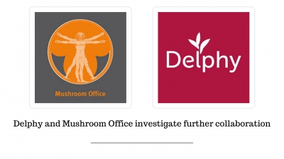 Delphy en Mushroom Office onderzoeken verdere samenwerking