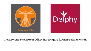 Delphy und Mushroom Office untersuchen die weitere Zusammenarbeit