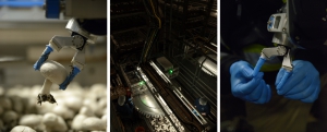 Mycionics announces industry&#039;s first large-scale deployment of automated mushroom farming system, after successful pilot