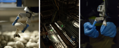 Mycionics announces industry&#039;s first large-scale deployment of automated mushroom farming system, after successful pilot